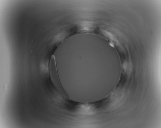 X0000096670423200802121155