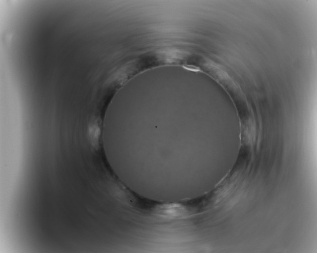 X0000096670427200802121155