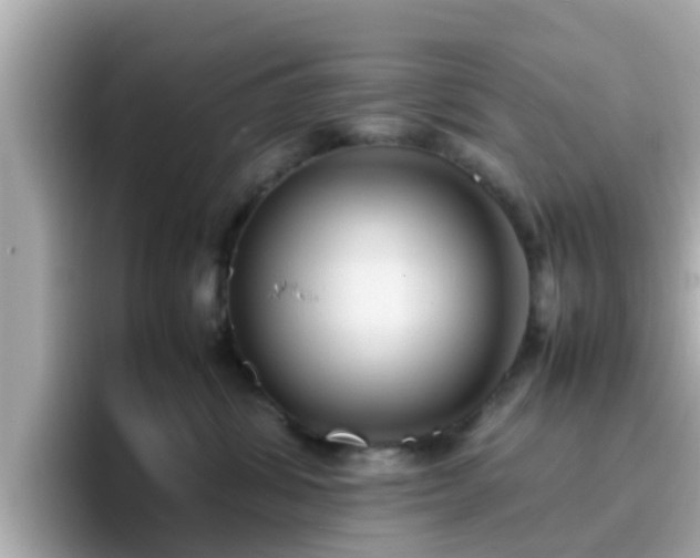 X0000096670428200802121155