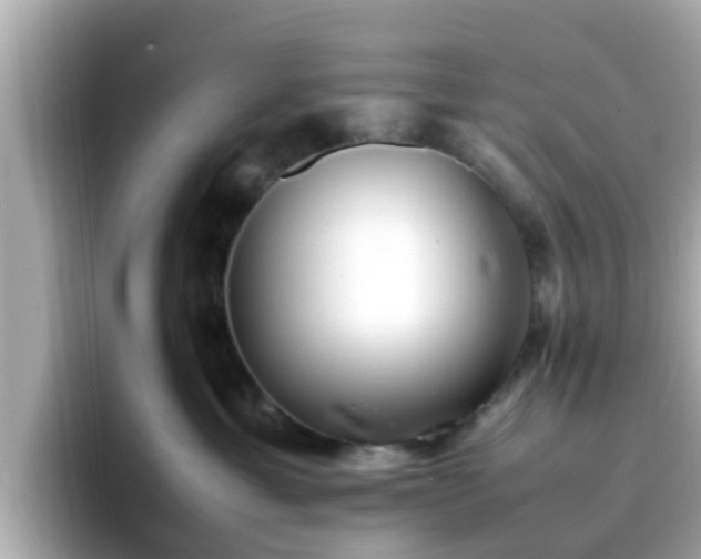 X0000096670429200802121155