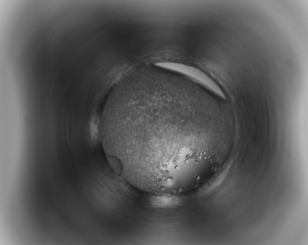 X0000096670432200802121155