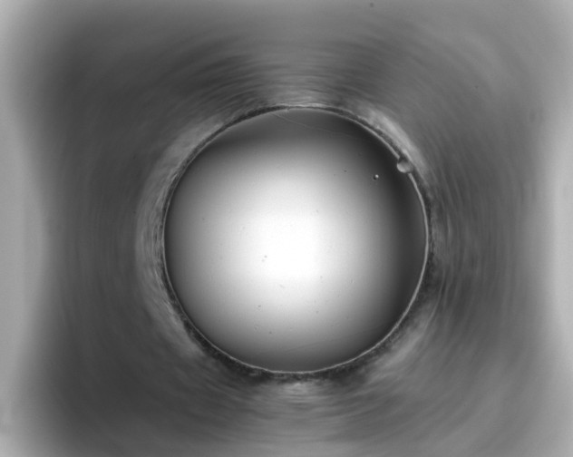 X0000096670433200802121154