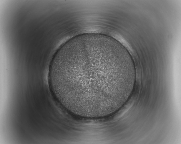 X0000096670434200802121154