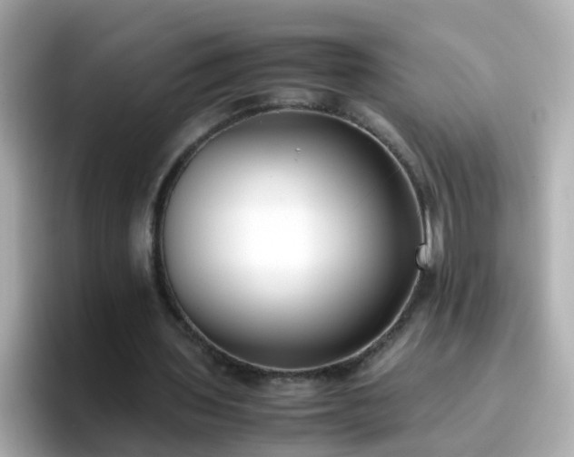 X0000096670435200802121154