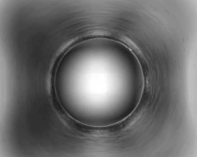 X0000096670436200802121154