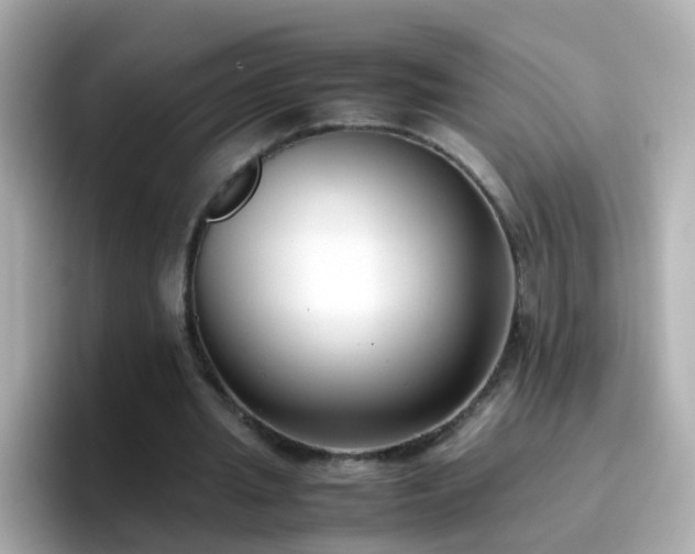 X0000096670437200802121154