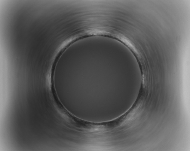 X0000096670438200802121154