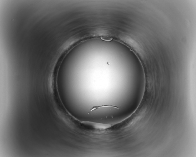 X0000096670439200802121154