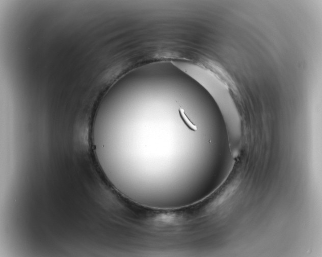 X0000096670441200802121154