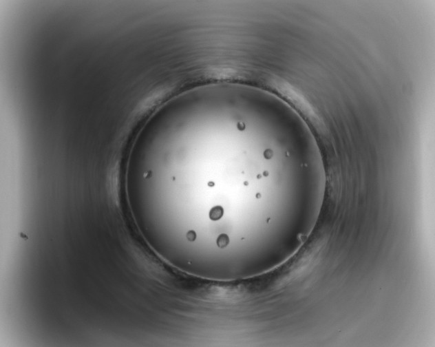 X0000096670442200802121154