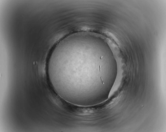 X0000096670443200802121154