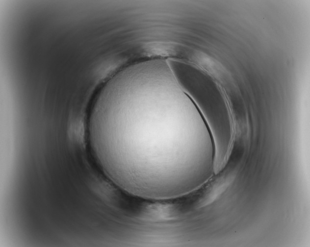 X0000096670444200802121154
