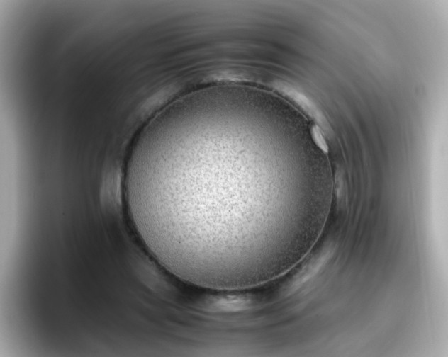 X0000096670445200802121154