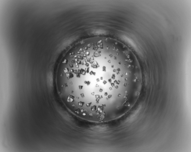 X0000096670447200802121154