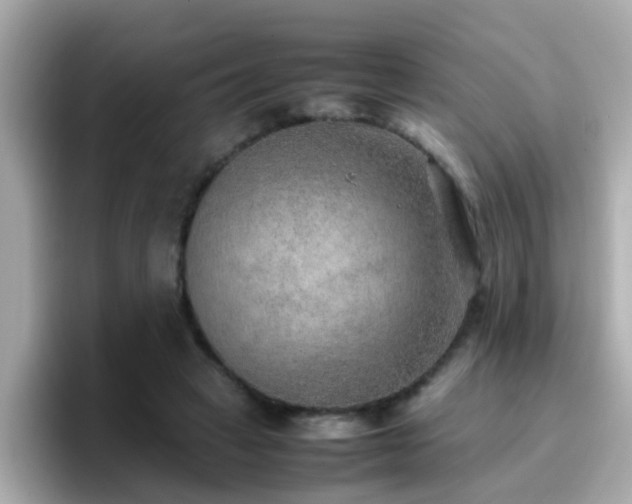 X0000096670449200802121154