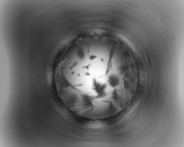 X0000096670451200802121154