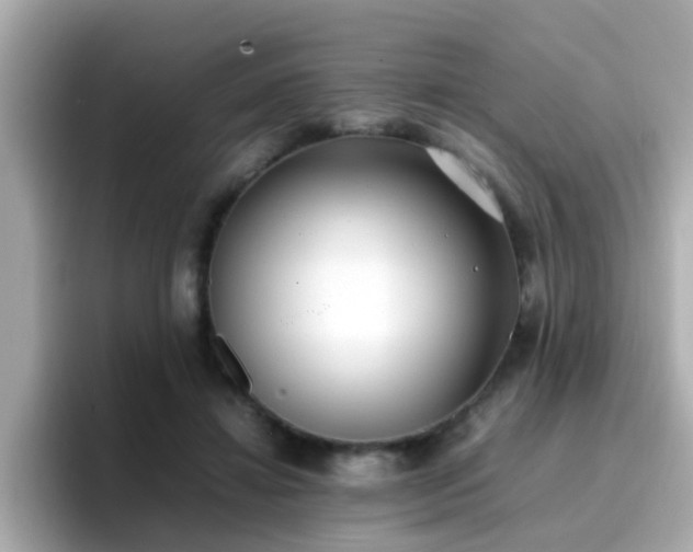 X0000096670452200802121154