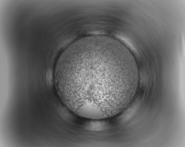 X0000096670453200802121154
