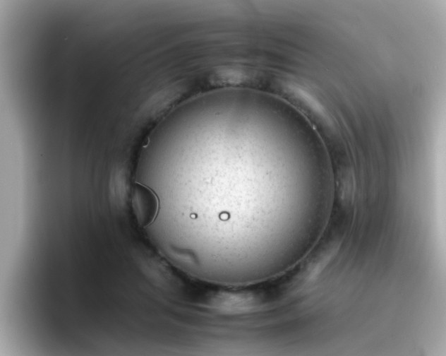 X0000096670455200802121154