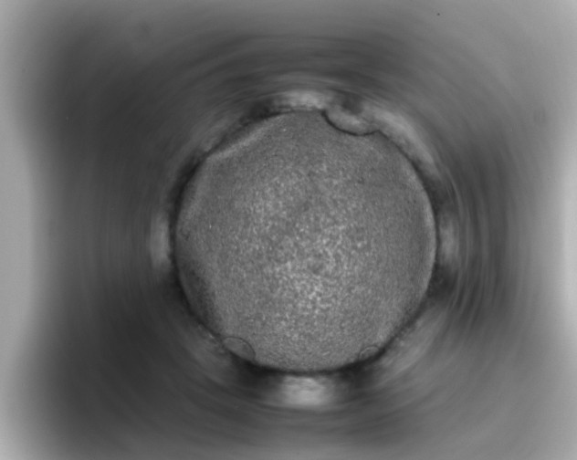 X0000096670457200802121154