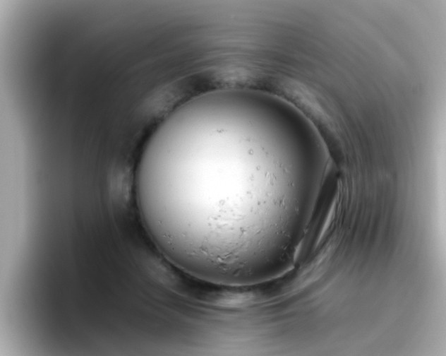 X0000096670458200802121155