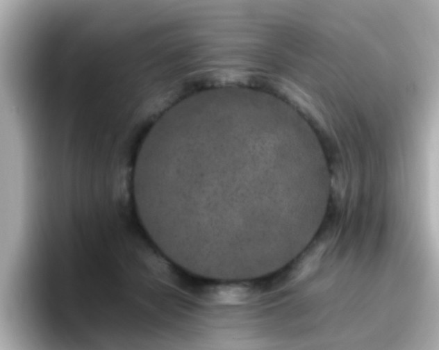 X0000096670462200802121155