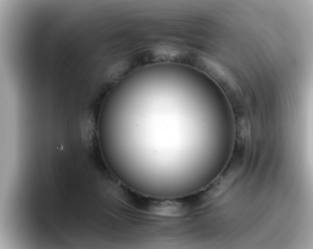X0000096670463200802121155