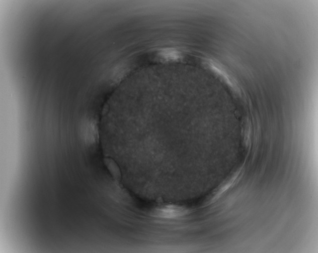 X0000096670467200802121155