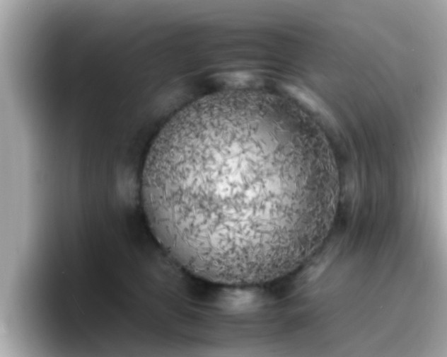 X0000096670469200802121155
