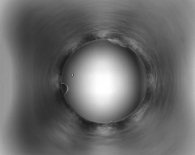 X0000096670470200802121155