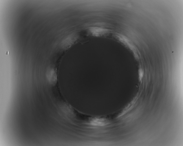 X0000096670471200802121155