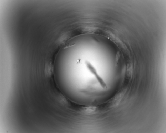 X0000096670474200802121155