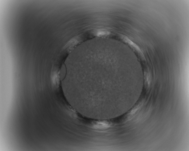 X0000096670475200802121155