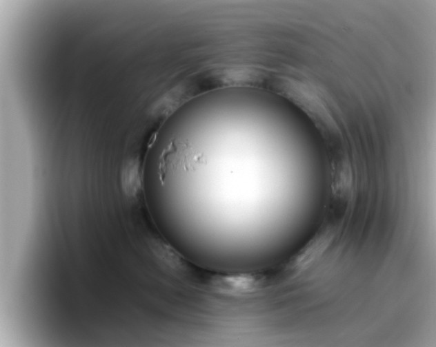 X0000096670478200802121155