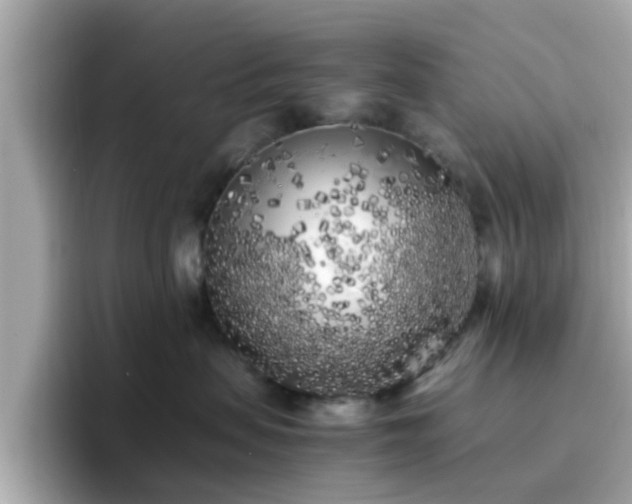 X0000096670479200802121155