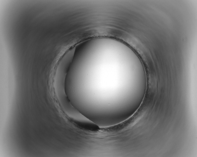 X0000096670481200802121154
