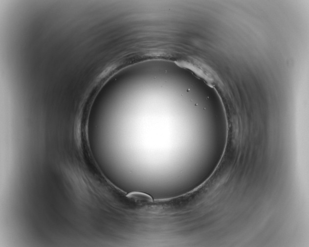 X0000096670482200802121154
