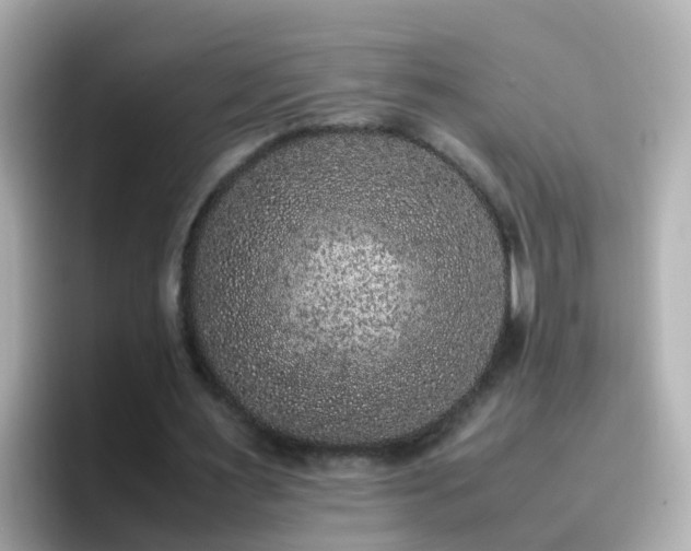 X0000096670483200802121154