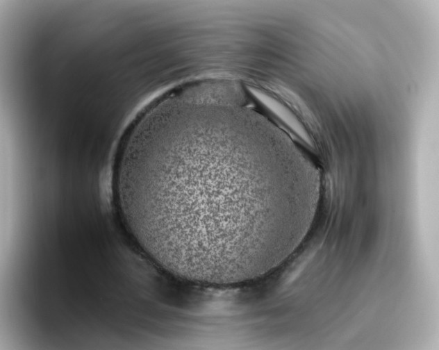 X0000096670484200802121154