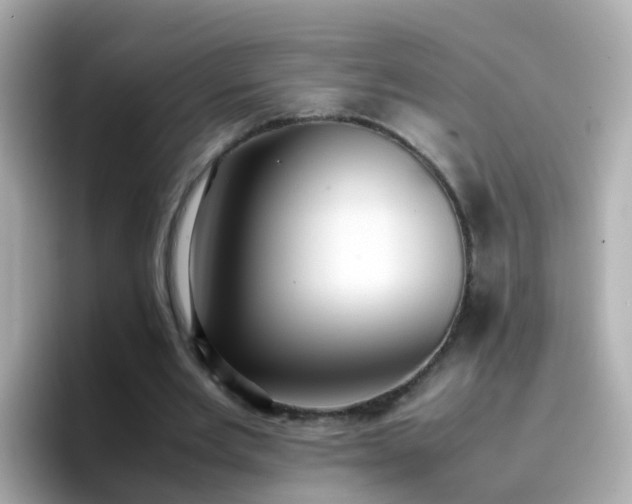 X0000096670485200802121154