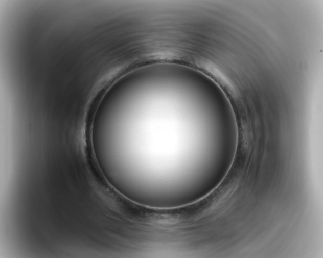 X0000096670486200802121154