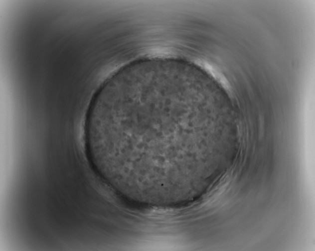 X0000096670487200802121154