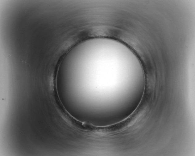 X0000096670489200802121154