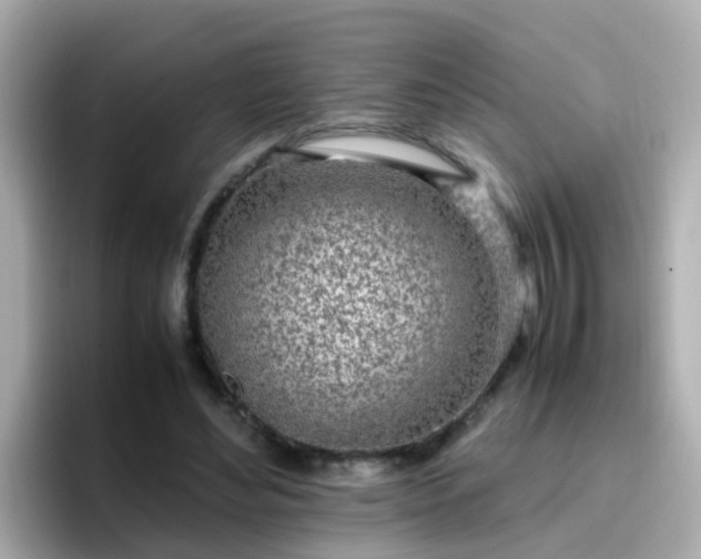 X0000096670492200802121154
