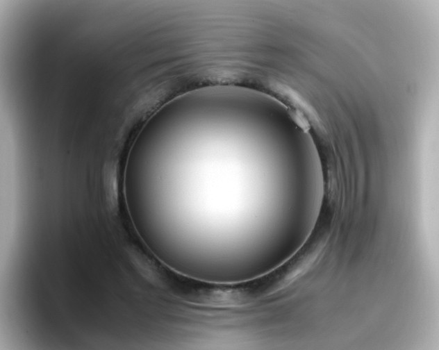 X0000096670493200802121154
