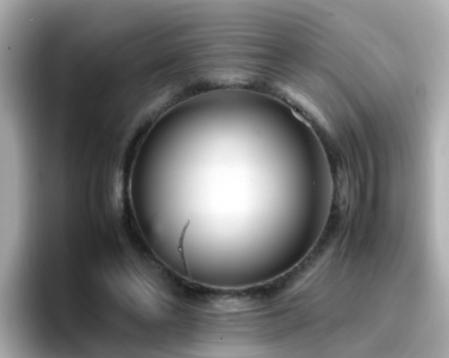 X0000096670494200802121154