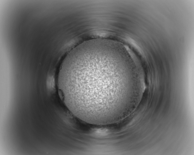 X0000096670500200802121154