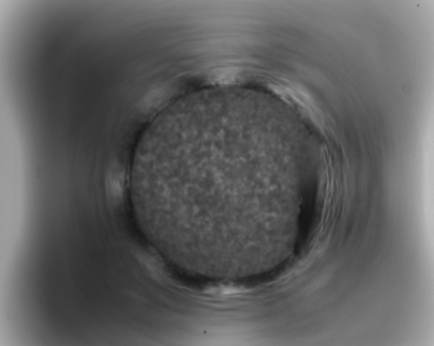 X0000096670503200802121154