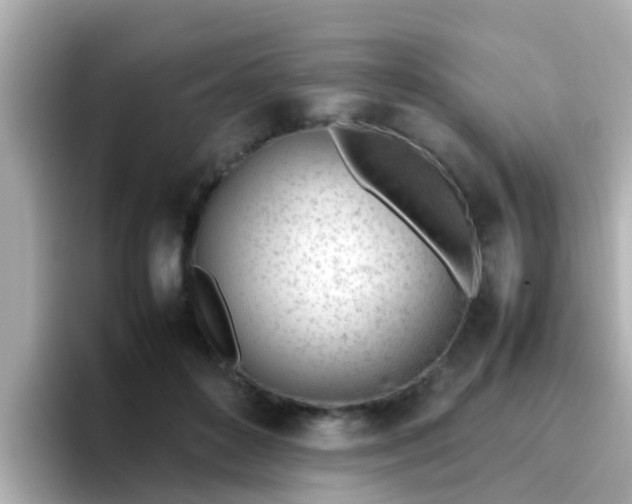 X0000096670504200802121154
