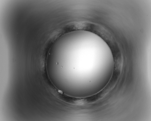 X0000096670505200802121154